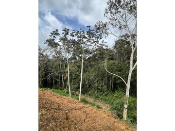 VENTA DE LOTE EN PARCELACIÓN VIA EL RETIRO LA CEJA