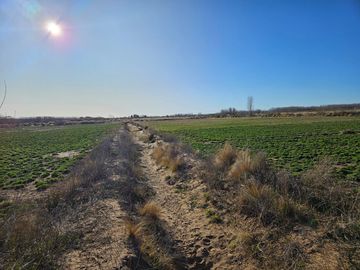 Chacra/Terreno en  Plottier, apto loteo , zona circunvalación