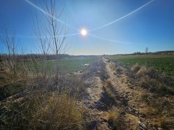 Chacra/Terreno en  Plottier, apto loteo , zona circunvalación