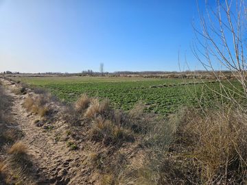Chacra/Terreno en  Plottier, apto loteo , zona circunvalación