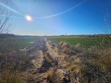 Chacra/Terreno en  Plottier, apto loteo , zona circunvalación