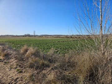 Chacra/Terreno en  Plottier, apto loteo , zona circunvalación