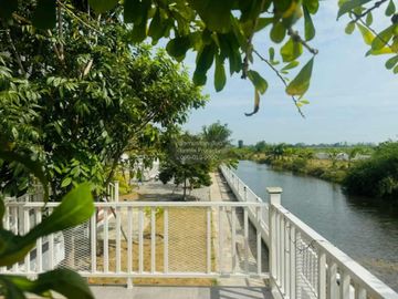 For Sale House with land 238 sq m. Hua Hin , Thap Tai , Hua Hin , Prachuap Khiri Khan , CX-130830