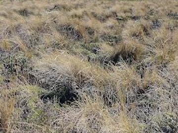 Venta Terreno 1500 m2 - Bº Las Marias del Valle - San Martin de los Andes