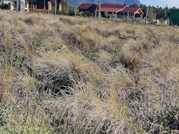 Venta Terreno 1500 m2 - Bº Las Marias del Valle - San Martin de los Andes