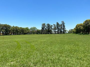 Galpón en venta de 47083m2 ubicado en Banda del Río Salí