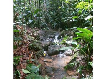 Terreno en Venta en Cocle YMW