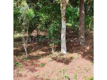 Terreno en Venta en Cocle YMW