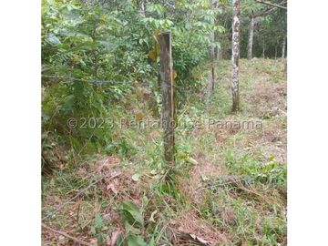 Terreno en Venta en Cocle YMW