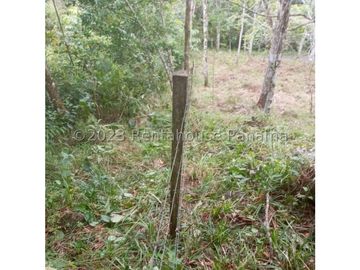 Terreno en Venta en Cocle YMW