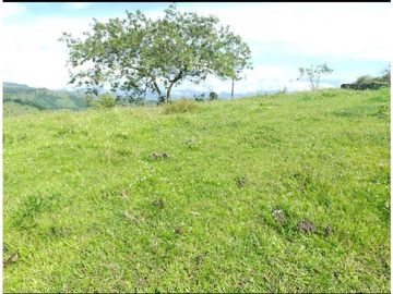 VENTA EXCELENTE LOTE, SAN JERÓNIMO-ANT