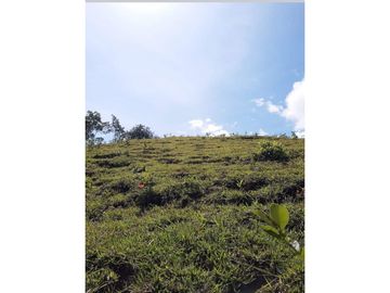 VENTA EXCELENTE LOTE, SAN JERÓNIMO-ANT