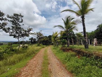 Finca Ganadera en venta de 106 HAS en Arosemena - La Chorrera (DR)