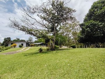 Finca Ganadera en venta de 106 HAS en Arosemena - La Chorrera (DR)