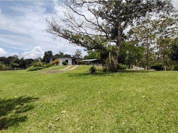 Finca Ganadera en venta de 106 HAS en Arosemena - La Chorrera (DR)