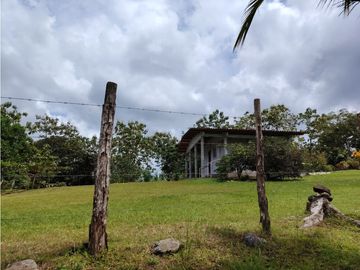 Finca Ganadera en venta de 106 HAS en Arosemena - La Chorrera (DR)