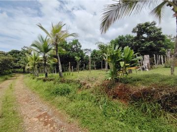 Finca Ganadera en venta de 106 HAS en Arosemena - La Chorrera (DR)