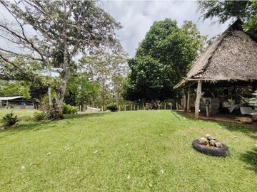 Finca Ganadera en venta de 106 HAS en Arosemena - La Chorrera (DR)