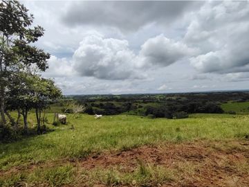 Finca Ganadera en venta de 106 HAS en Arosemena - La Chorrera (DR)