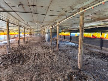 Vendo Granja Avicola en Concepción Del Uruguay, Entre Ríos.