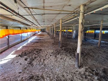 Vendo Granja Avicola en Concepción Del Uruguay, Entre Ríos.