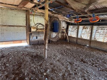 Vendo Granja Avicola en Concepción Del Uruguay, Entre Ríos.