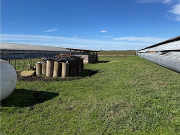 Vendo Granja Avicola en Concepción Del Uruguay, Entre Ríos.