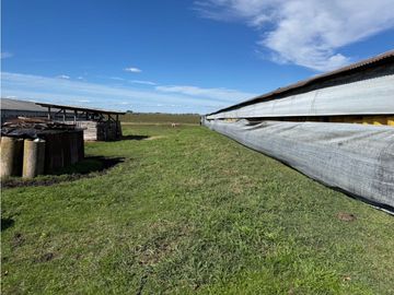 Vendo Granja Avicola en Concepción Del Uruguay, Entre Ríos.