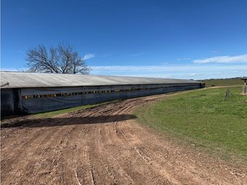 Vendo Granja Avicola en Concepción Del Uruguay, Entre Ríos.