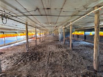 Vendo Granja Avicola en Concepción Del Uruguay, Entre Ríos.