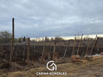 Chacra en  Vista Alegre Sur