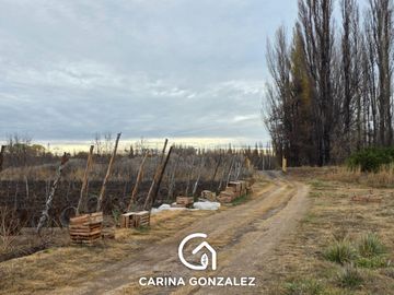 Chacra en  Vista Alegre Sur