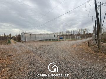 Chacra en  Vista Alegre Sur