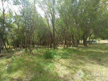 Chacra de 2has en Golondrinas, Lago Puelo-PERMUTA PUERTO MADRYN (FC-74)