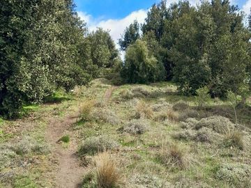 Terreno / Lote en venta de 887m2 ubicado en San Martin de los Andes