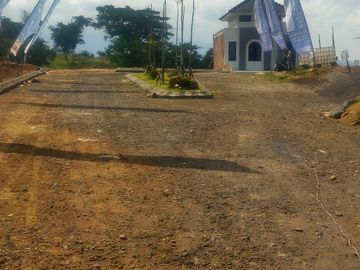 Rukost dau dekat kampus umm