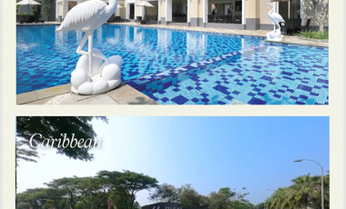 Carribean Spring PHG Flamingo Gading Serpong