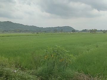 Tanah  paling di cari view perbukit di prambanan