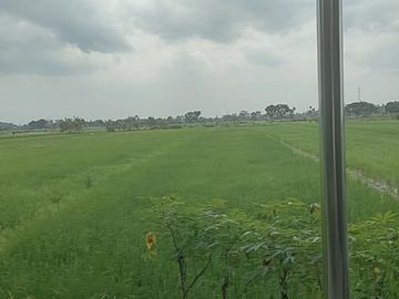 Tanah  paling di cari view perbukit di prambanan