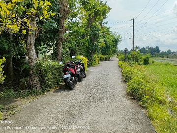 Dijual tanah pekarangan di prambanan view boko