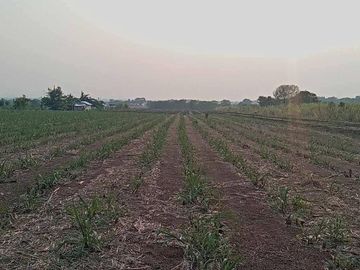 For Sale Vacant Land Phatthana Nikhom  Lopburi  CX-132784
