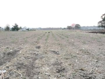 For Sale Vacant Land Phatthana Nikhom  Lopburi  CX-132784