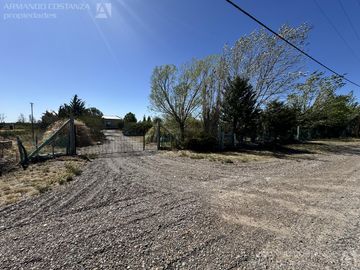 quintas el doradillo