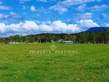 Terreno  de 2,25 hectáreas Pradera, Bosque y Estero en Panguipulli Trafún.