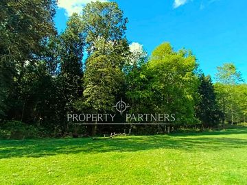 Terreno  de 2,25 hectáreas Pradera, Bosque y Estero en Panguipulli Trafún.