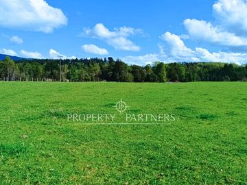 Terreno  de 2,25 hectáreas Pradera, Bosque y Estero en Panguipulli Trafún.