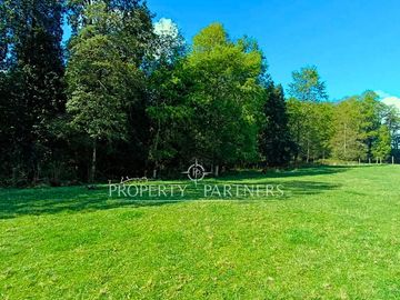 Terreno  de 2,25 hectáreas Pradera, Bosque y Estero en Panguipulli Trafún.