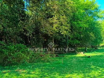 Terreno  de 2,25 hectáreas Pradera, Bosque y Estero en Panguipulli Trafún.