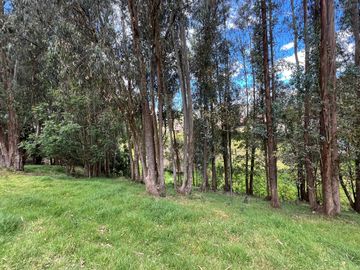 Terreno La Merced Cantón Quito 9.578,28 m2