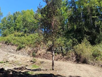 ¡Oportunidad! Terreno a Orilla de Carretera Turística  Coñaripe a Panguipulli con vista a Lago.